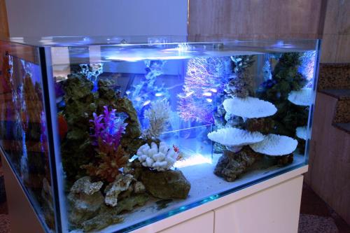Hotel Aqua Blue Yokosuka 