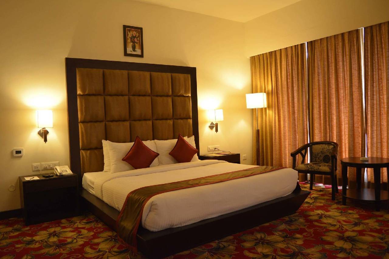 The Lily Hotel 