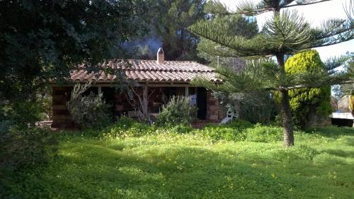 The Pineta Apartment ( پینتا آپارتمان) 