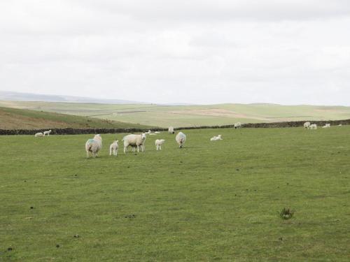 Ashley Croft Lower Barn Skipton (آشلی كروفت لوور بارن اسكیپتون) 