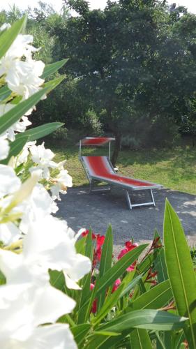 Casa Vacanze Colline Di Luni 