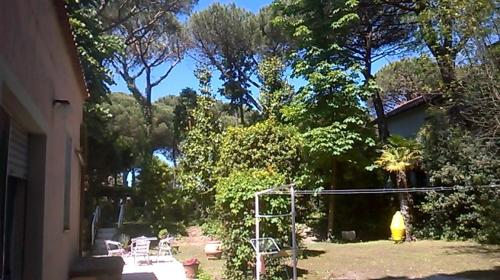 Hotel Antille 