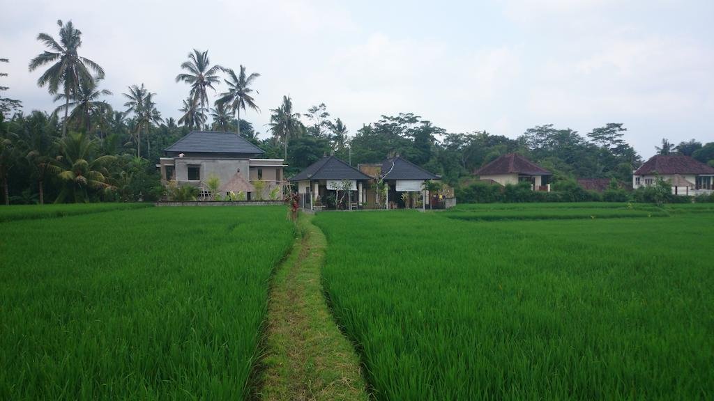 Anita's Ubud Villa 