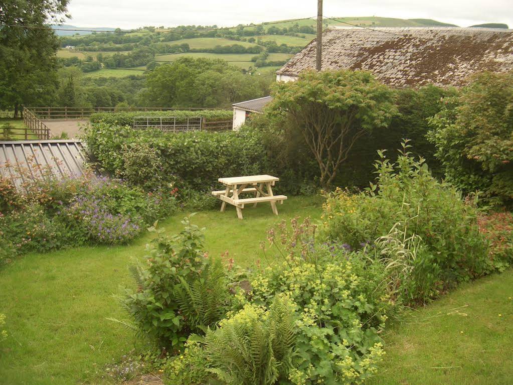 Gwarllwyn 