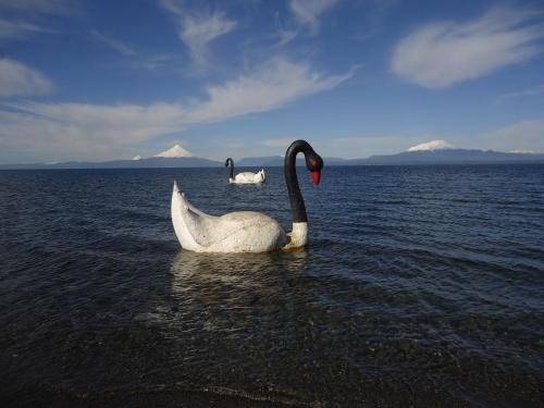 Cabanas Llanquihue Cerca Del Lago (كاباناس للانکویهو كركا دل لاگو) 