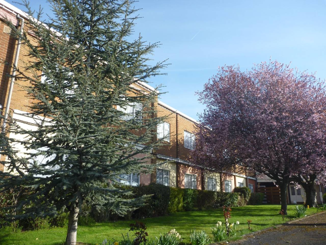 Lodge At Leeming Bar (لاج ات لیمینگ بار) 