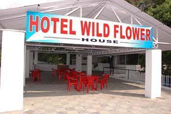 Wild Flower House 