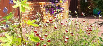 The Courtyard Property Grounds