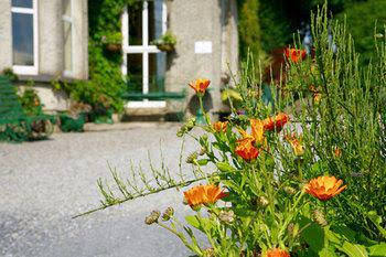 Glendine Country House B&b 