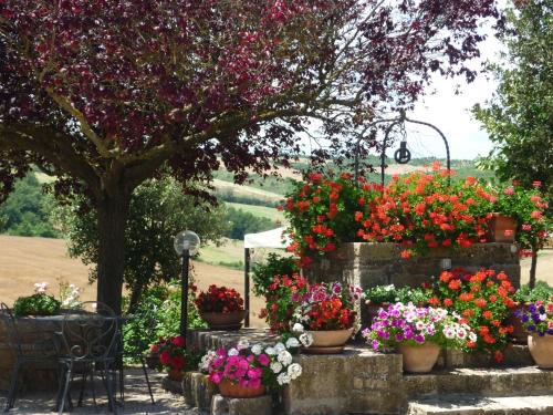 Bed & Breakfast Castello Di Belforte 