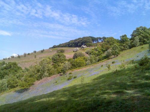 Evie House Barnoldswick 