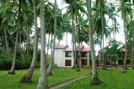 The Kingdom Hotel 