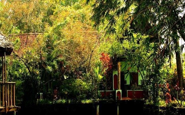 Eden Garden Ayurvedic Health Retreat 