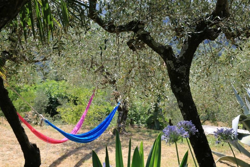 La Fattoria Di Nonna Eugenia 