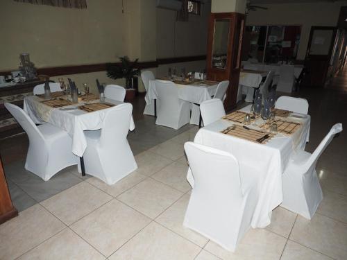 Panama Lodge And Tours 