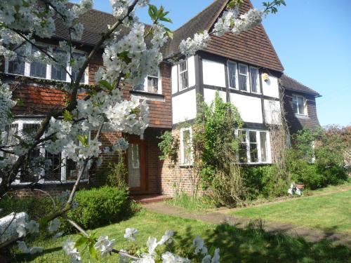 Forest Lodge Bed And Breakfast 