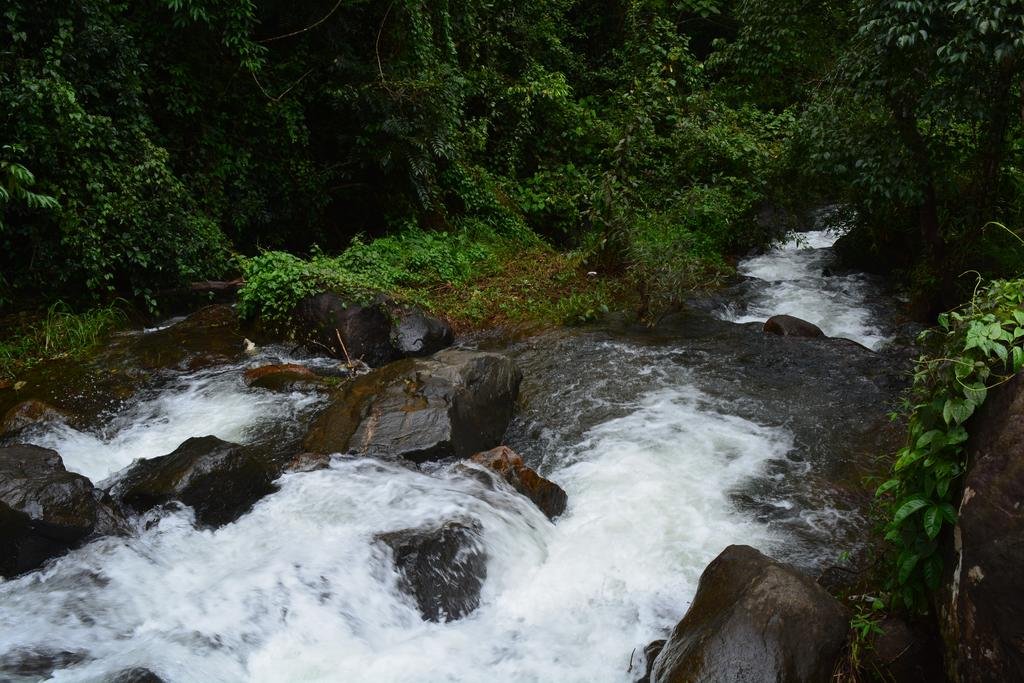 Stream Garden Mountain Resort 