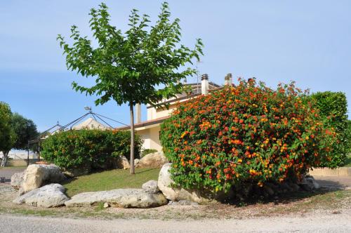 Bed & Breakfast Giardini Di Marzo 