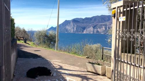 Ferienhause Mit Pool Malcesine 