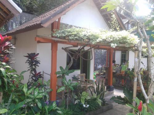 Ari Home Stay 