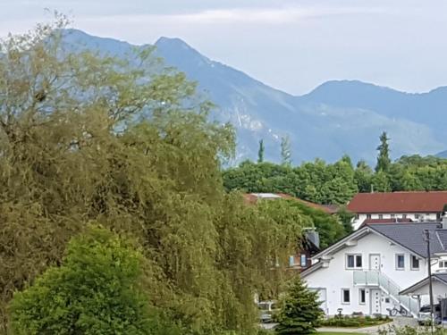 Ferienwohnung Hoherting (فرینووهنونگ هوهرتینگ) 