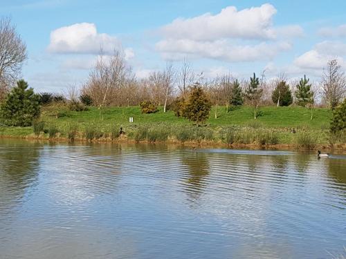 Sycamore Farm Park 