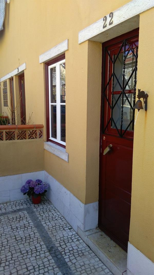 Cats House 