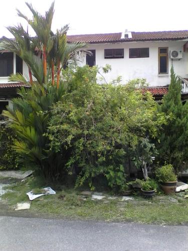 Lee Guest House 