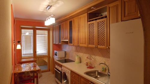 Svetlana's Apartments 