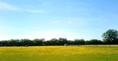 Edgecoombe 