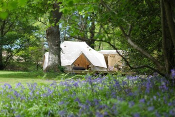 Glampotel Bere Regis Guestroom