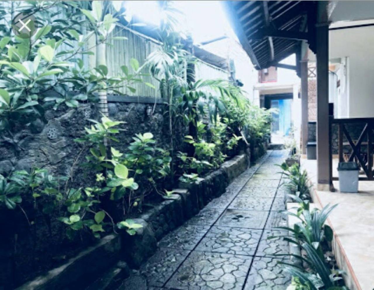 Cha Cha Homestay 