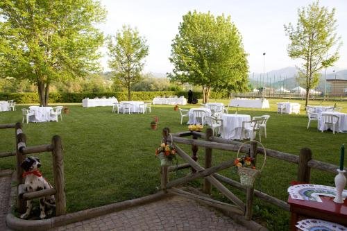 Albergo Dei Gelsi 