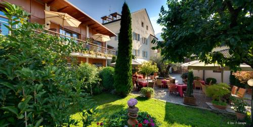 Hotel Traube 