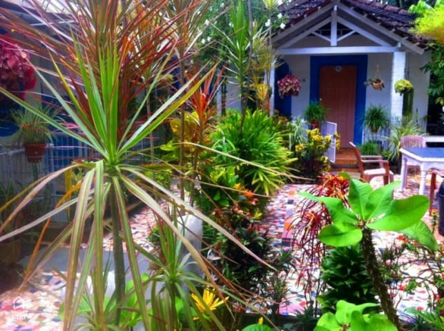 Zappia Cove Tourist Guest Houes 