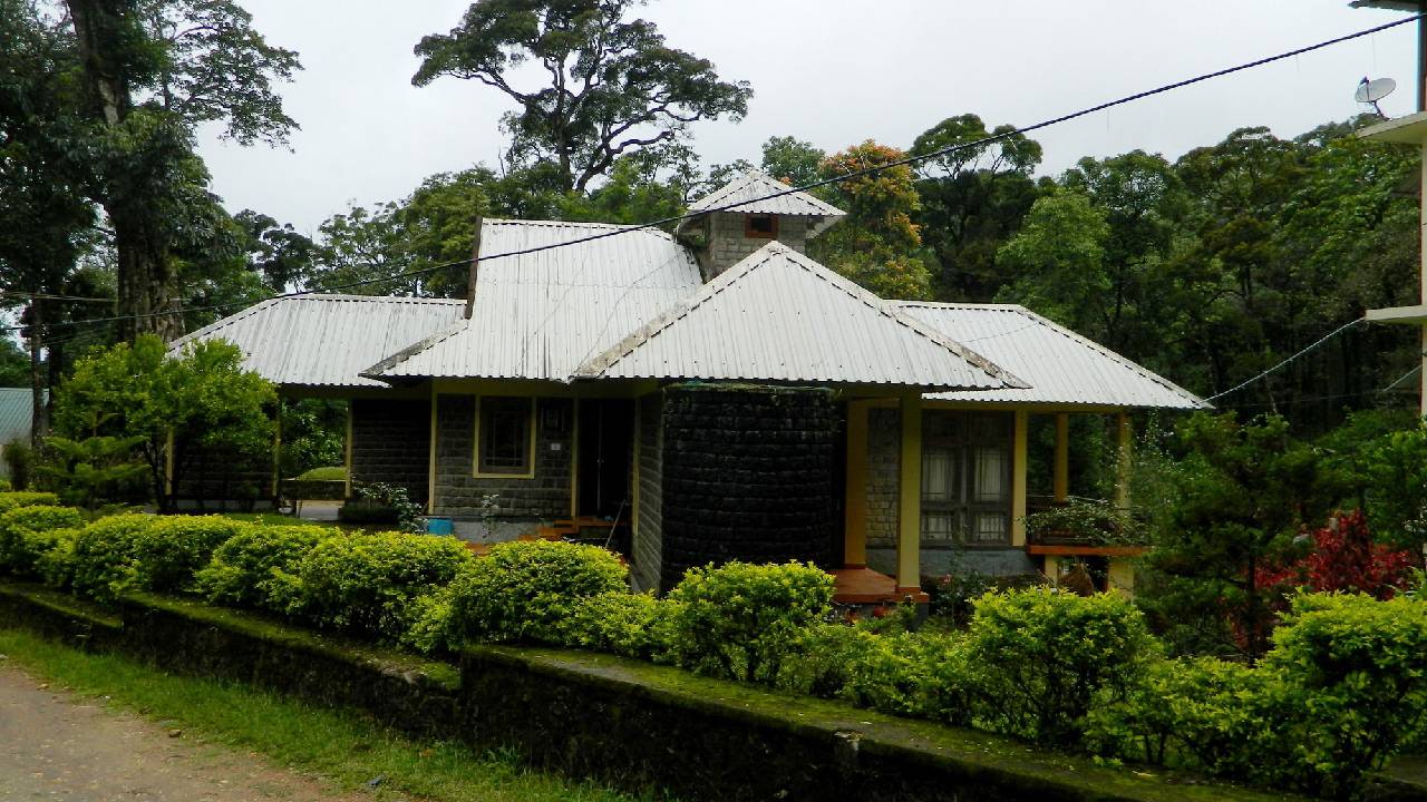 Deep Woods Resort 