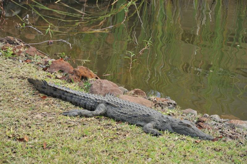 Aha The David Livingstone Safari Lodge & Spa Sports and Entertainment