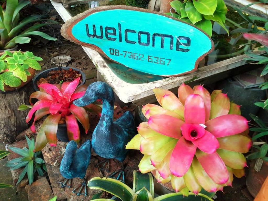 Garden Room Hostel (گاردن روم هاستل) 