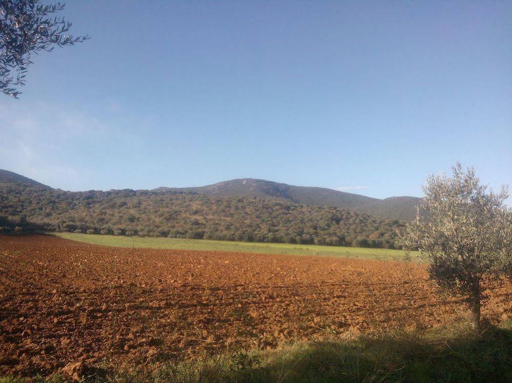 Agriturismo Il Quarto 