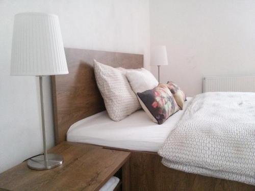 Apartment Belveder Brno 