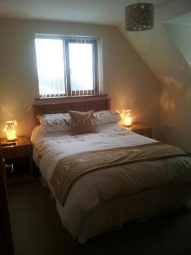 Reallycoolaccomodation (ریلیكولاككوموداشن) 