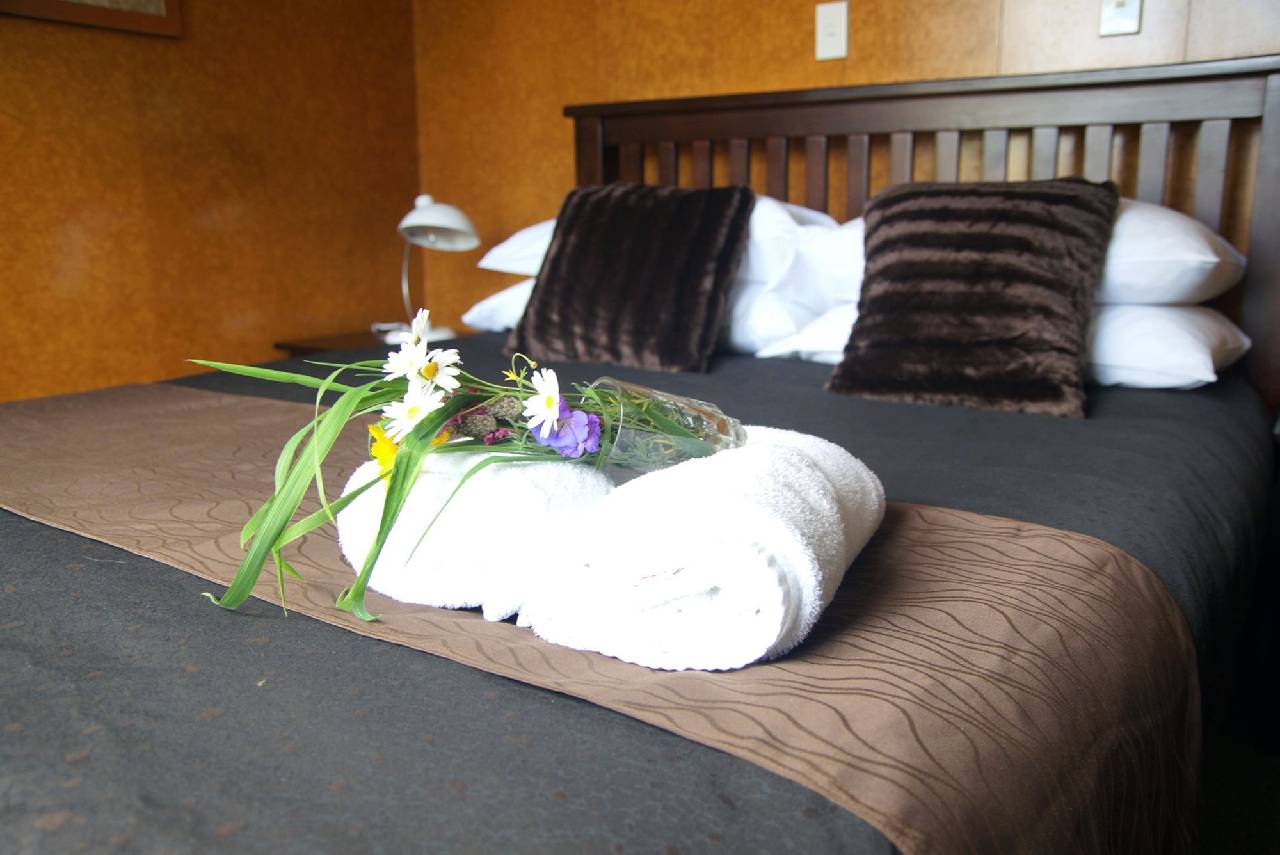 Whanganui River Top 10 Holiday Park 