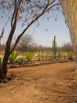 Nona Lodge Property Grounds