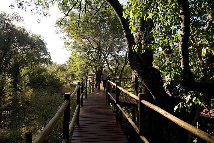 Sanctuary Sussi And Chuma 