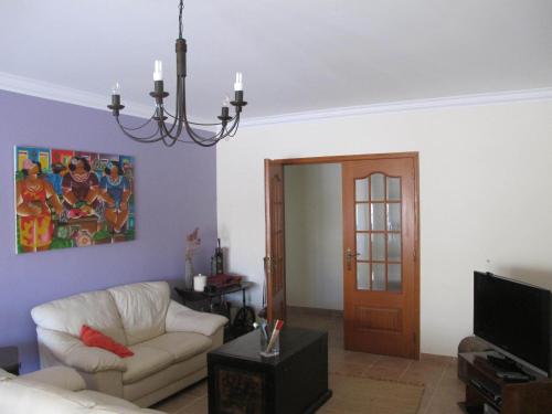 B.ericeira Surf Rental 