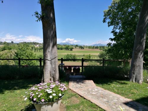 La Piana 