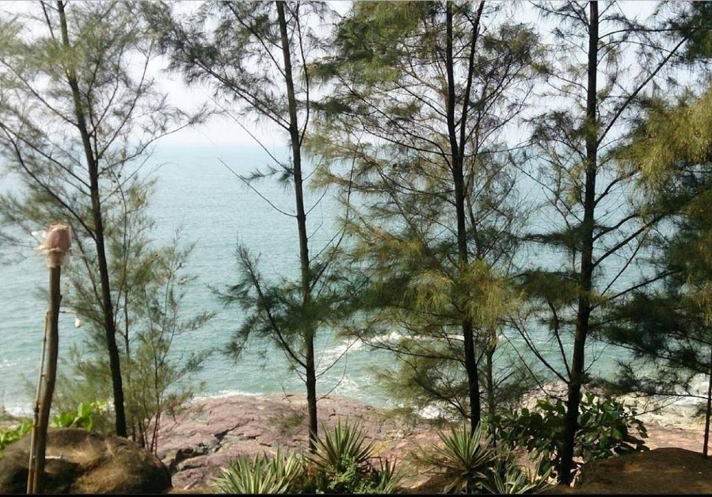 Honey Beach Cottages 