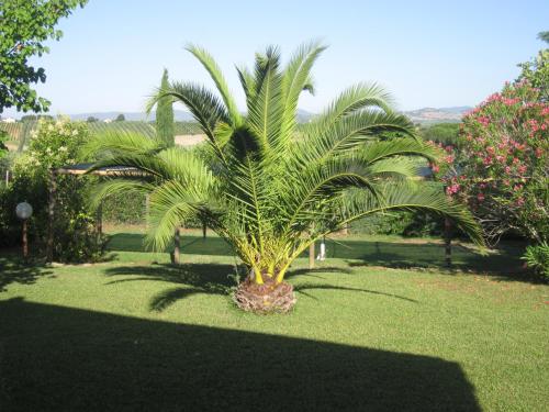 Agriturismo La Carlina 