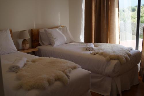 Hostal Doble E Patagonia 