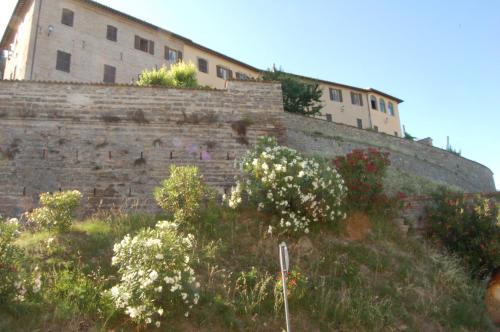 Palazzo Bonfranceschi 
